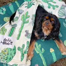 Load image into Gallery viewer, Indie Boho | Cactus Fusion Blanket
