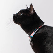 Load image into Gallery viewer, Wolves of Wellington | Floss Cat Collar
