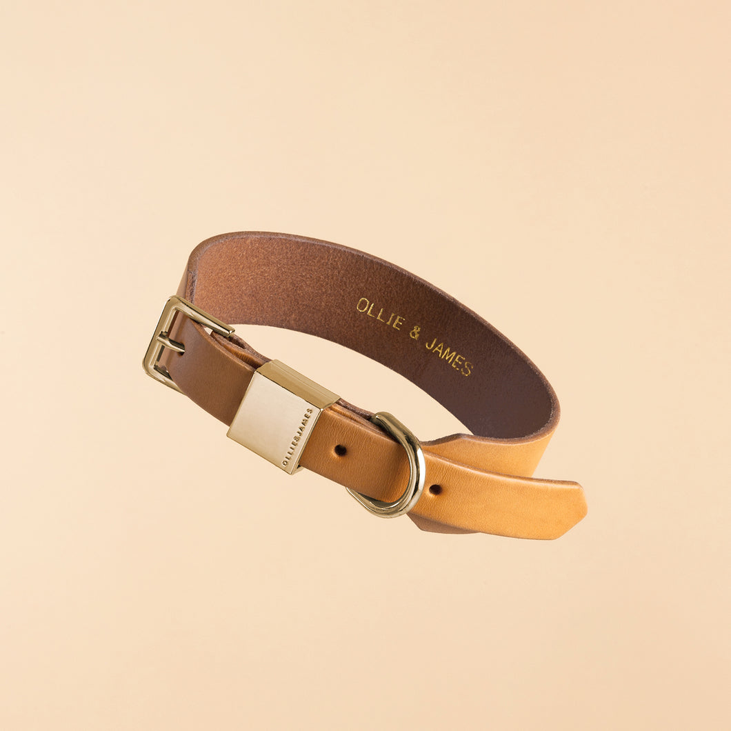 Ollie & James | Leather Dog Collar in Camel