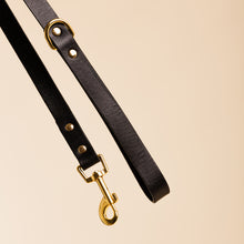 Load image into Gallery viewer, Ollie &amp; James | Leather Dog Lead in Sable
