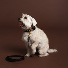 Load image into Gallery viewer, Ollie &amp; James | Leather Dog Lead in Sable
