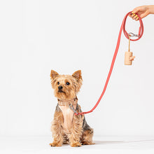 Load image into Gallery viewer, Wild One | Blush Dog Harness
