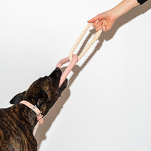 Load image into Gallery viewer, Wild One | Dog Toy Triangle Tug - Blush
